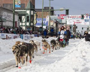 Read more about the article Iditarod Racer Stuck In Alaska Returns Home