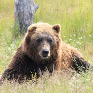 Alaska’s National Park Tradition Conditions This Week